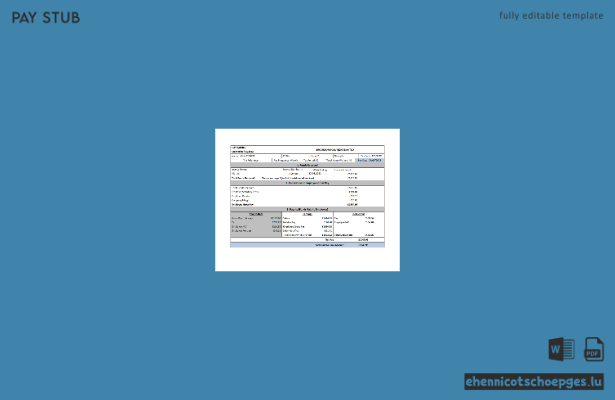 USA Brookson Solutions Limited Gehaltsabrechnungsbeispiel Vorschau
